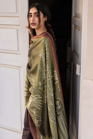 Gumaan (Wrapped In Mystery) - Shaded Olive Green Odhni