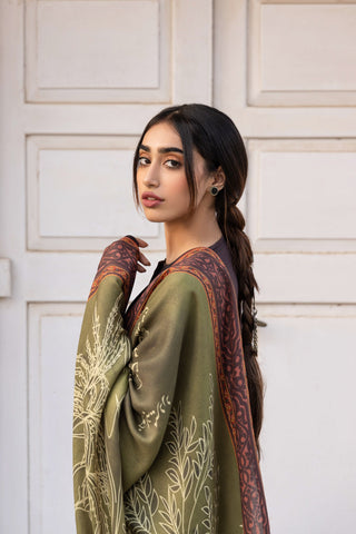 Gumaan (Wrapped In Mystery) - Shaded Olive Green Odhni